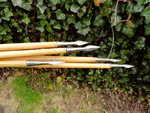 Typ 8 Diamond 'Belza' on Welsh-Arrows