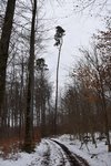 habitat.JPG (270.29 KiB) 3806 mal betrachtet Ausgangsmaterial