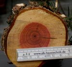 Eibe1.jpg