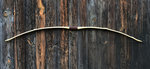IMG_0505 bearb.jpg