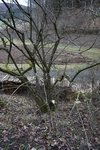 DSC03107.JPG (277.94 KiB) 14944 mal betrachtet Nach der Entnahme