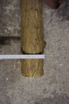 DSC03114.JPG (158.87 KiB) 14944 mal betrachtet Die Ulme ist an der Dicksten Stelle 10cm , liegt also noch im Limit
