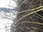 IMG_1289.JPG