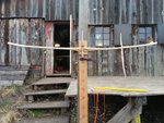 2018012918304900.jpg (262.64 KiB) 17901 mal betrachtet Hasel