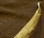 Der wilde Rückendes unteren WA