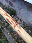 Bild 8: Ästchen. Zählt das als Pin-Knot?