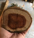 41E05E79-BED4-4D2C-94EA-9D9BFA97236B.jpeg (165.2 KiB) 6448 mal betrachtet Oberer Stammabschnitt