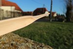Übergang zu den Nadeln