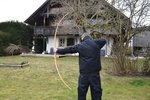 2Aubiermassacrekillerkarpfen.JPG