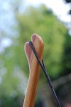 DSC_5122.jpg