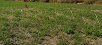 20180930_122444.jpg