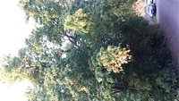 20181017_171803.jpg