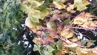 20181017_171814.jpg