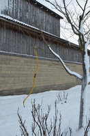 Hengend_hinten.jpg