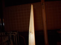 DSCN0522.JPG (1.48 MiB) 10977 mal betrachtet Holzauge sei wachsam