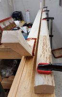 20190210_180617.jpg (165.13 KiB) 7985 mal betrachtet Hier Hasel mit sehr schöner Rückenwölbung und Hainbuche -