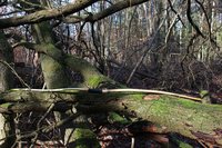 9_IMG_8333.jpg