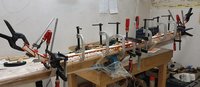 und gezwungen mit leichtem Reflex
