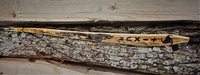DSC00054.jpg