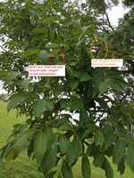 IMG-20190901-WA0002.jpg