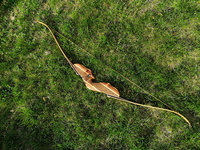 hawkeye-final-komplett.jpg