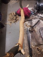 20191030_195530.jpg (438.96 KiB) 5463 mal betrachtet Rinde mit der Spachtel runtergeschafft