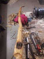 20191030_200322.jpg (491.21 KiB) 5463 mal betrachtet Bei der Stelle (wo jetzt noch Rinde drauf ist) frag ich mich noch was das ist..nachher bin ich schlauer