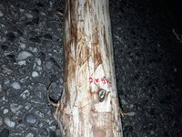 20191202_170500.jpg