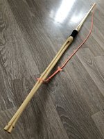 Holunder, 90 Zentimeter, Zuggewicht unbekannt, weil habe keine Waage.