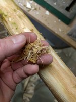 klein_IMG_20191209_205922.jpg