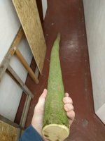 klein_IMG_20191210_182343.jpg