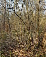 Das Habitat