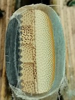 IMG_20200111_170759.jpg