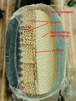 IMG_20200111_170759.jpg