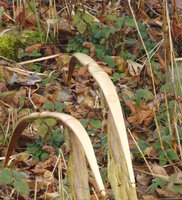 01 Biegung Seitenansicht.JPG