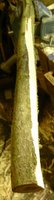 BILD3561.JPG
