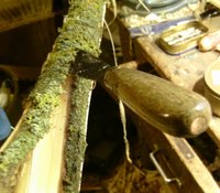BILD3562.JPG