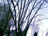 BILD3544.JPG