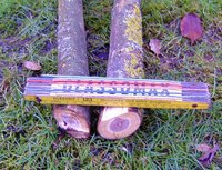 BILD3554.JPG