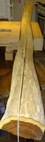 Goldregen 140cm Draufsicht B.JPG
