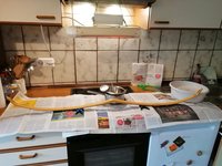 wieder mal Grundieren mit 10%tigem Hautleim