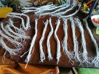 IMG_20200703_112650.jpg (249.93 KiB) 2349 mal betrachtet Die ultra langen Sehnen