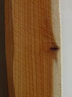 Neuer Stave obere Wa 15cm Ast.JPG