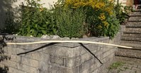 DSC05111.JPG