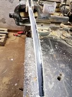 Sehnenreste vom Horn entfernt