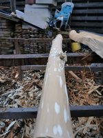 IMG_20201124_163112_compress21.jpg
