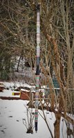 DSC06754.JPG