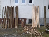 20201231_192230.jpg (1.18 MiB) 4114 mal betrachtet N kleines Bischen Berg-Ulme heute geschnitten...