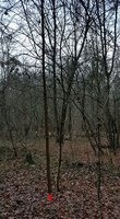 Das Habitat
