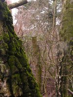 P1190664.JPG (450.96 KiB) 11735 mal betrachtet abgeschnitten